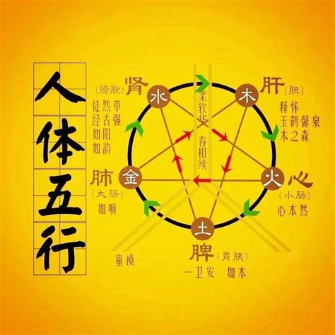 火克什么|五行相克